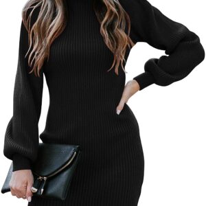 Caracilia Turtleneck Long Sleeve Knit Pullover Sweater Mini Dress