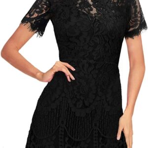 MSLG Women's Round Neck V-Back Floral Lace A Line Dress