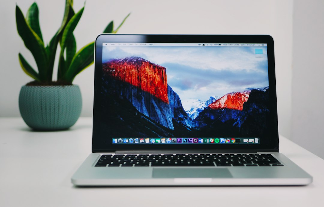 A laptop on a desk beside a small plant