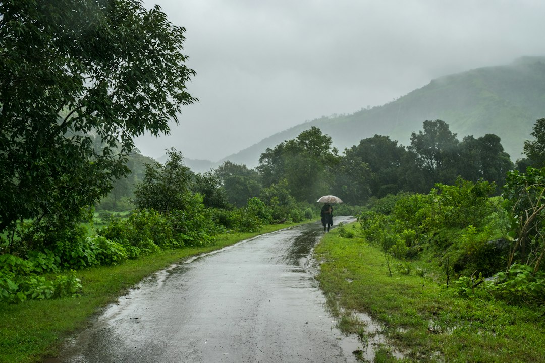 A wet road through green hills during the monsoon
