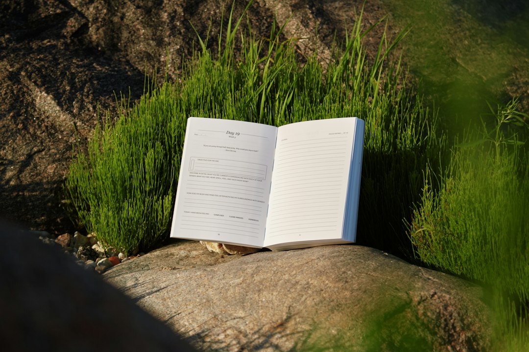 An open journal resting on a stone beside grass